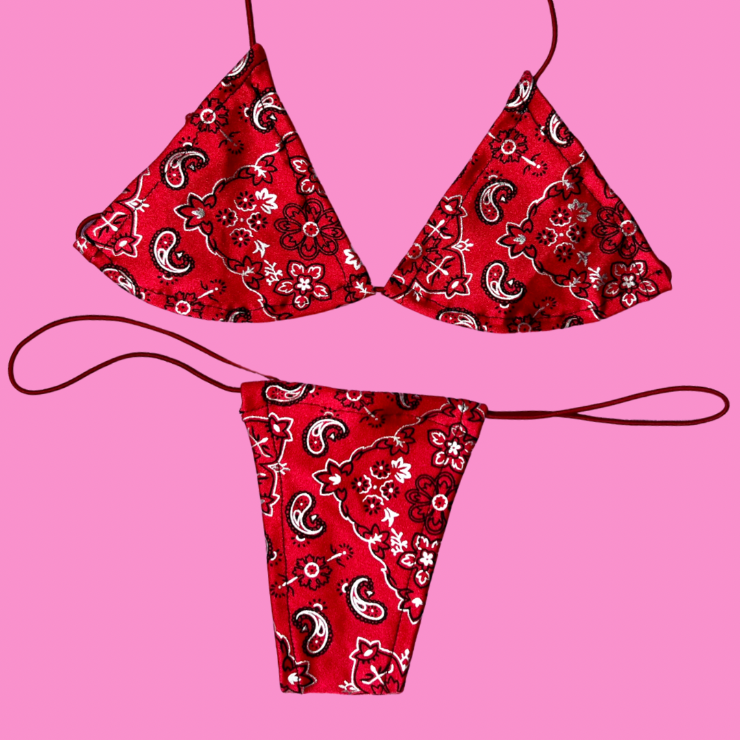 Paisley Microkini